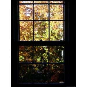  Autumn View Out of a Wooden Pane Window, Washington, D.C 