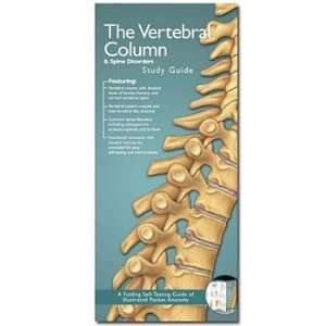 Vertebral Column and Spine Disorders Study Guide  