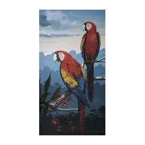   Macaw   Artist Jules Scheffer  Poster Size 13 X 24
