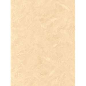   Patton Wallcovering Silk and Shimmer SM30323