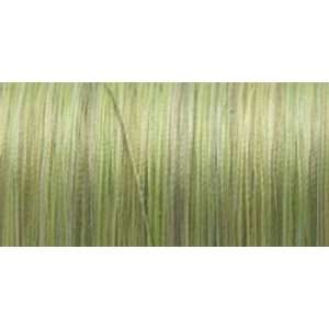  Silk Variegated Thread 200 Meters Variegated Green [Office 