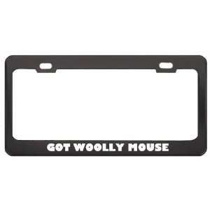 Got Woolly Mouse Opossum? Animals Pets Black Metal License Plate Frame 