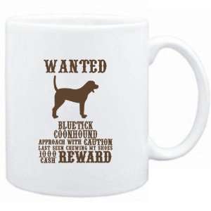   Bluetick Coonhound   $1000 Cash Reward  Dogs