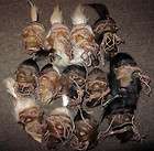 Shrunken head real leather Tsansa witchcraft FREE WORLDWIDE SHIP plus 