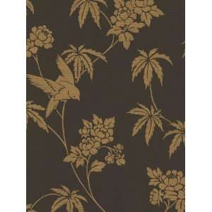  Nature Brown Wallpaper in Chateau 2