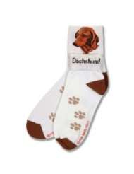 for bare feet dog breed dachshund roll down socks