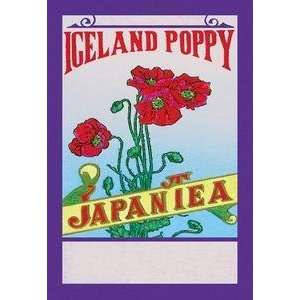  Vintage Art Iceland Poppy Tea   10440 6