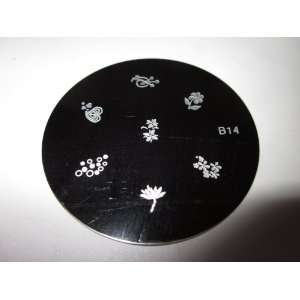  Stamping Nail Art Image Plate   B14 Beauty