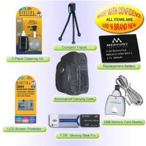   ACCESSORY KIT + 1GB FOR SONY DSC L1 M1 T1 T33 T5 T9 M2