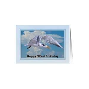  Happy Birthday, 92nd, Royal Tern Bird Card Toys & Games