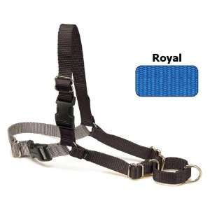  Easy Walk Dog Harness   Royal/Navy