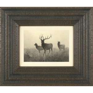 American Elk, Artist Robert Hinshelwood 