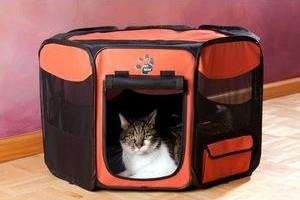 care for your pet handy interior floor is water resistant