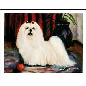  Maltese with Ball Notecards 