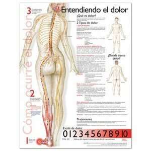  Understanding Pain in Spanish Chart/Poster
