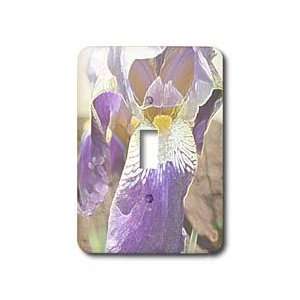 Patricia Sanders Creations   Purple Iris Floral Art   Light Switch 