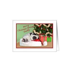  Christmas, Daddy, Sleeping Cat, Santa Hat Card Health 