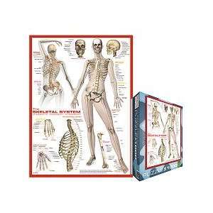  Skeletal System (Human Body)   1000 Piece Puzzle Toys 