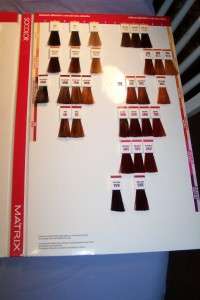 MATRIX Socolor Swatch Book 100 Removable Hair Color Samples  