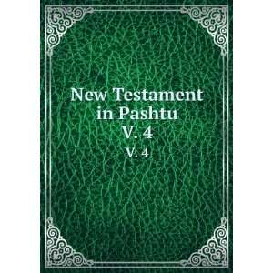 New Testament in Pashtu. V. 4 Thomas John Lee,Pashtu Revision 