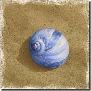 Blue Shell on Brown Beach by Brian Cody   Sea Shell Ceramic Accent 