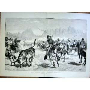  Driving Cattle Into Corral Nebraska Antique Print 1875 