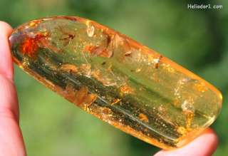 Yellow Large Item Copal Amber With Mosquito And Moth Wings  