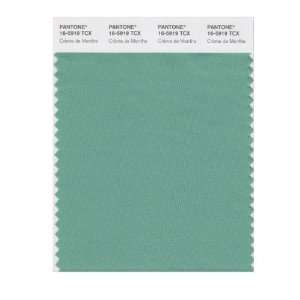  PANTONE SMART 16 5919X Color Swatch Card, Crème de Menthe 