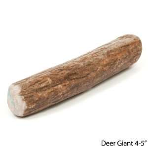  Prairie Dog Deer Antlers Dog Treat Giant 4 5 16 Pack Pet 