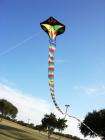   Cobra Huge 50 FT Long Tail Outdoor Beach Toy Spring Top Quality  
