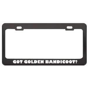 Got Golden Bandicoot? Animals Pets Black Metal License Plate Frame 