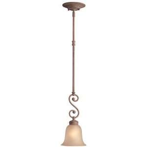  Dolan Designs 2561 55 Donegal 1 Light Mini Pendants in Sonora 