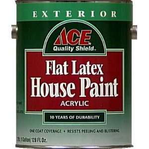  ACE QUALITY SHIELD EXTERIOR FLAT HOUSE PAINT TINT BASE 