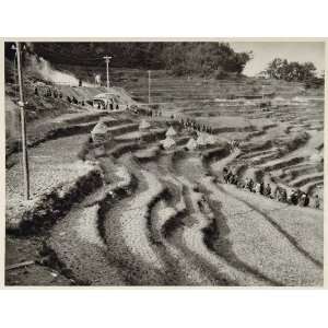  1930 Terraced Rice Paddy Fields Beppu Kyushu Japan 
