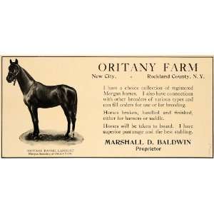   Morgan Horses Daniel Lampert Farm   Original Print Ad