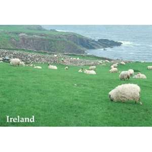   FIELD SEA OCEAN IRISH IRELAND TRAVEL TOURISM VISIT LARGE POSTER REPRO