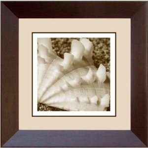  Phoenix Galleries HP264H Fluted Clam Single Framed 