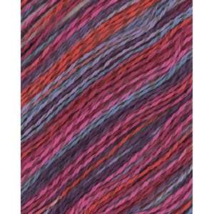  Berroco Linsey Colors Yarn 6510 Harthaven Arts, Crafts 