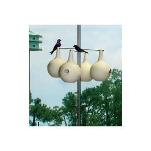  Purple Martin Birdhouse Gourds 20+ Seeds Great to Paint 