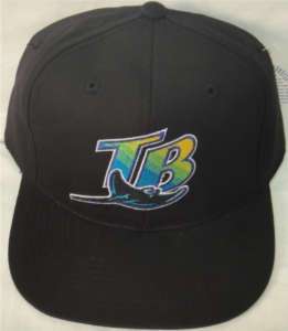 TAMPA BAY RAYS MLB YOUTH FLATBILL SNAPBACK HAT CAP  