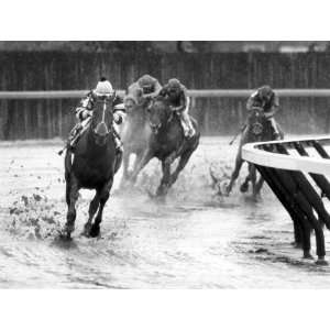  Seattle Slew at Aqueduct   1978