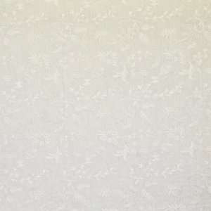  Kravet Juan Les Pins Oemb   Blanc Indoor Upholstery Fabric 
