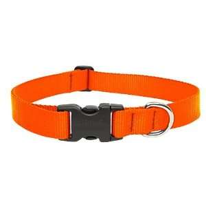  1 Blaze Orange 18 31 Adjustable Collar