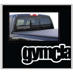  Gym Class Heroes Large Car Truck Boat Decal Skin Sticker 