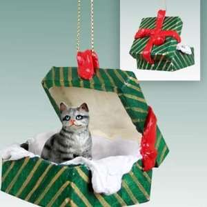 Silver Tabby Green Gift Box Cat Ornament