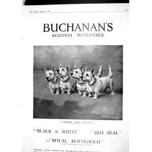   1915 BUCHANANS SCOTCH WHISKY LION AFRICA WAR MEMORIAL