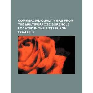   gas from the multipurpose borehole located in the Pittsburgh coalbed