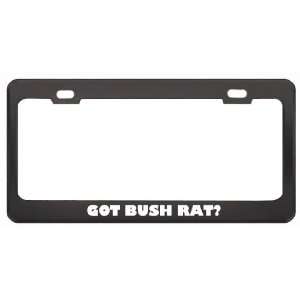  Got Bush Rat? Animals Pets Black Metal License Plate Frame 