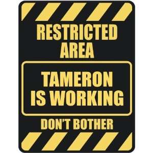   RESTRICTED AREA TAMERON IS WORKING  PARKING SIGN