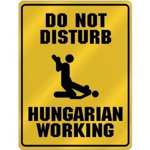  New  Do Not Disturb  Hungarian Working  Hungary Parking 